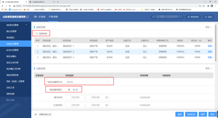 山東省公共資源交易中心資產(chǎn)處置交易系統(tǒng)（文物拍賣）用戶操作手冊(cè)（代理機(jī)構(gòu)/出讓人版）